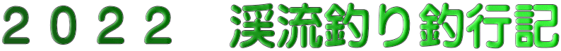 ２０２２　渓流釣り釣行記