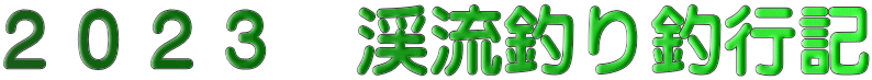 ２０２３　渓流釣り釣行記