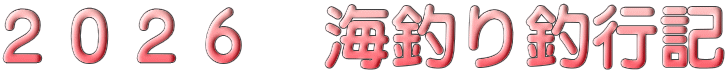 ２０２６　海釣り釣行記